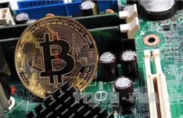 Đồng bitcoin tăng gần 100% từ mức đáy của năm nay 
